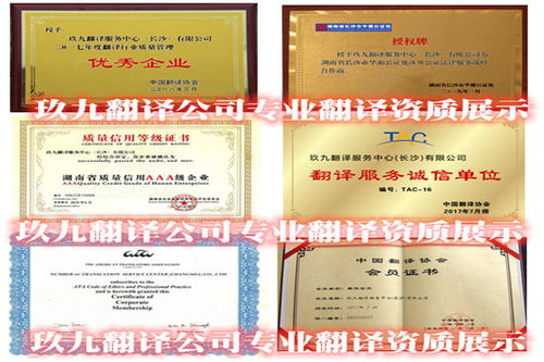 长沙专业口译翻译公司推荐 卓越语言服务的选择