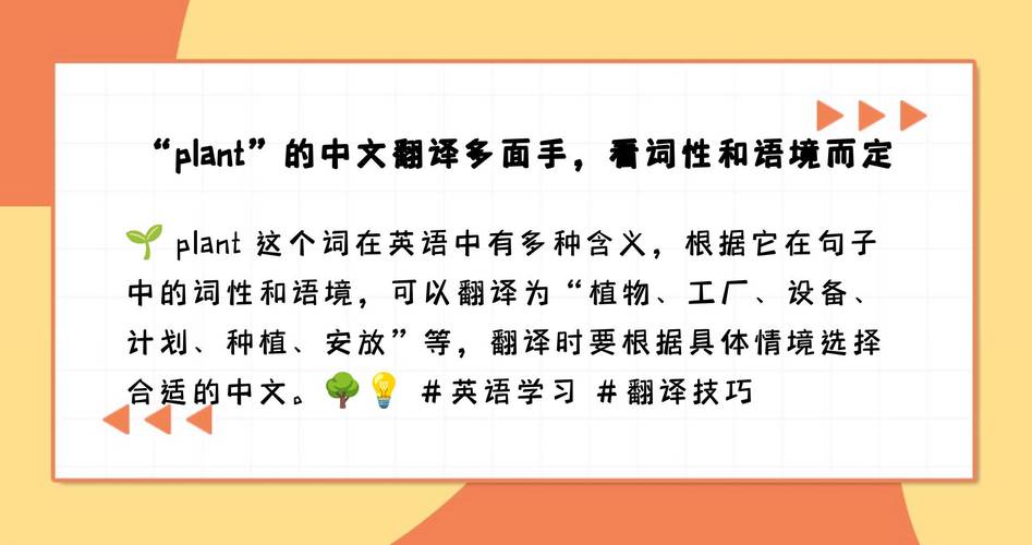 plant这个词怎么翻译